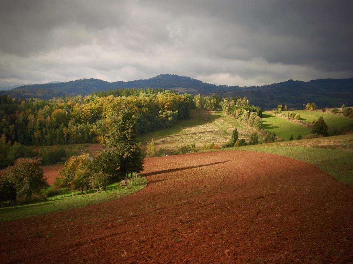 Farma Koko Ryku Nowa Ruda