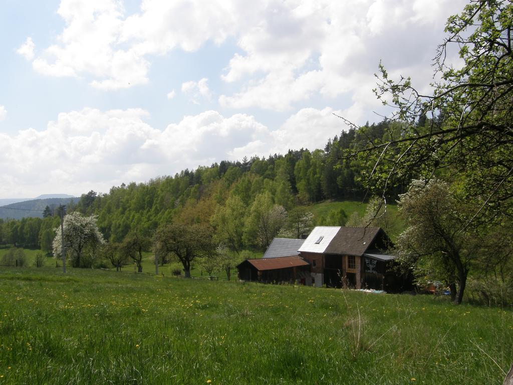 Koko Ryku Nowa Ruda