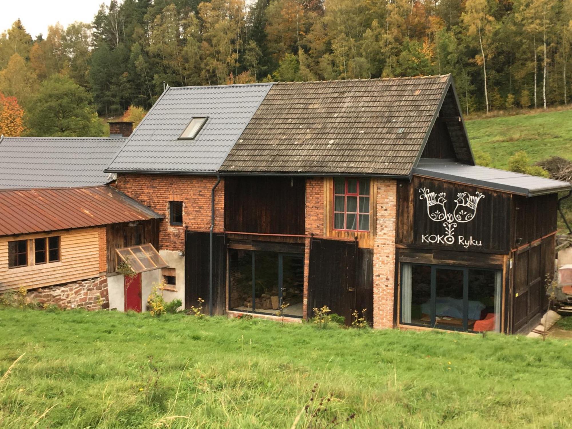 Koko Ryku Farma Nowa Ruda